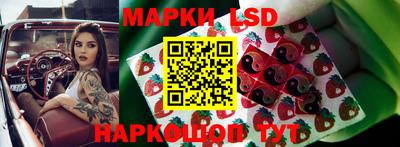 крисы Малгобек