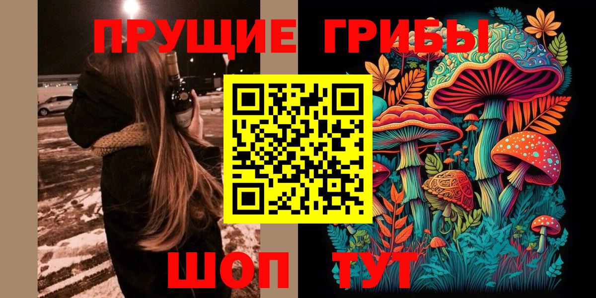 Псилоцибиновые грибы ЛСД  Галлюциногенные грибы MAGIC MUSHROOMS  Вольск  Вход с VPN 